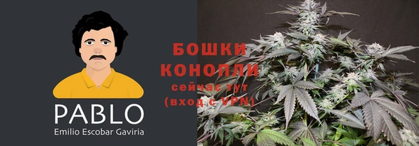 эйфоретик Новокубанск