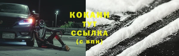 соль ск Абаза
