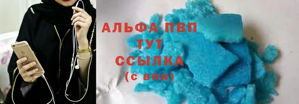 стафф Алзамай