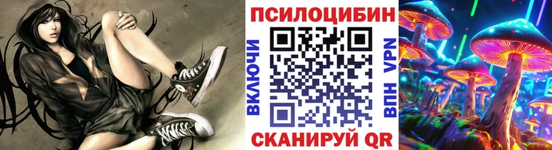 купить наркотики цена Новоульяновск Псилоцибиновые грибы Psilocybine cubensis